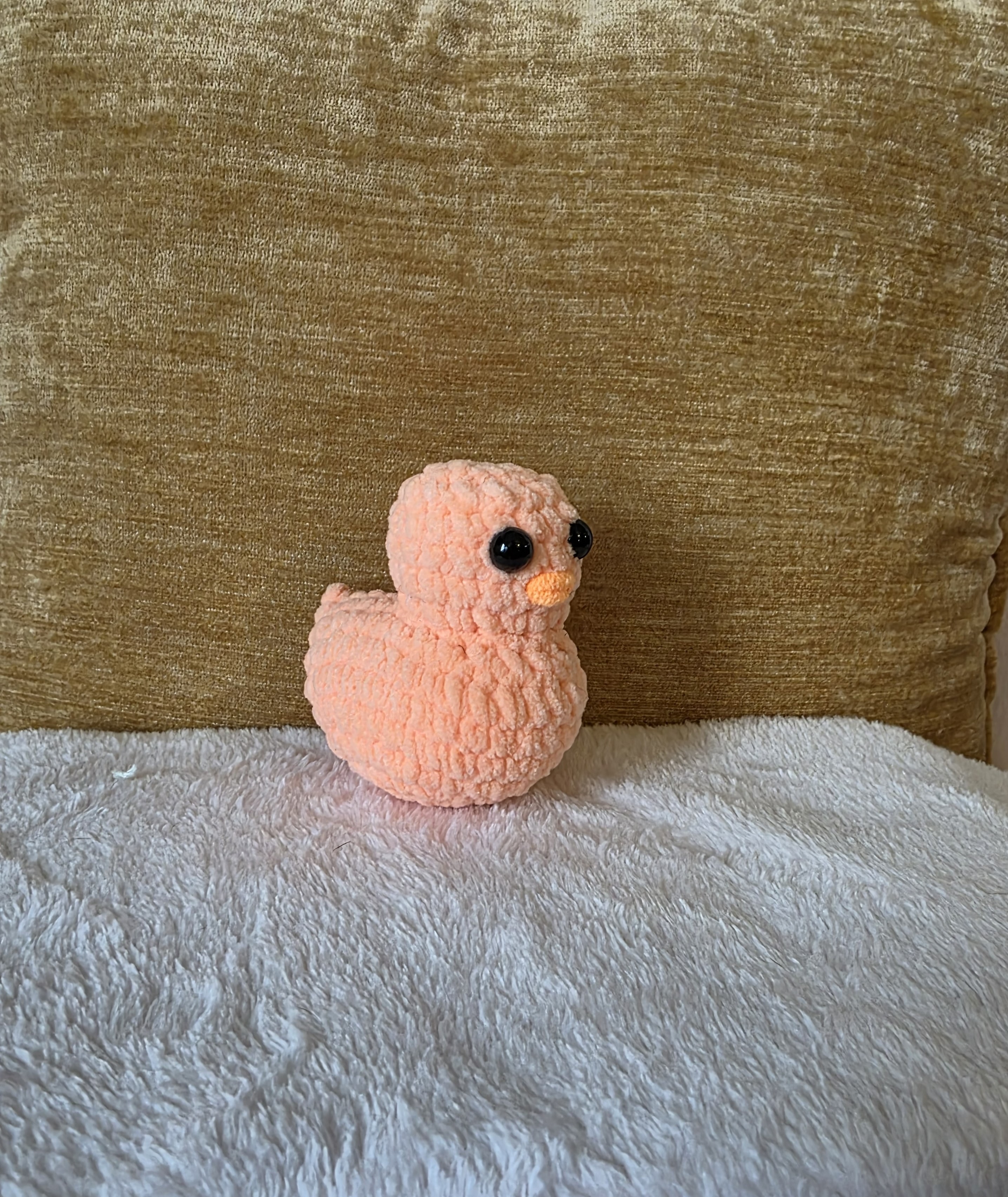 Peaches the Pocket Duck